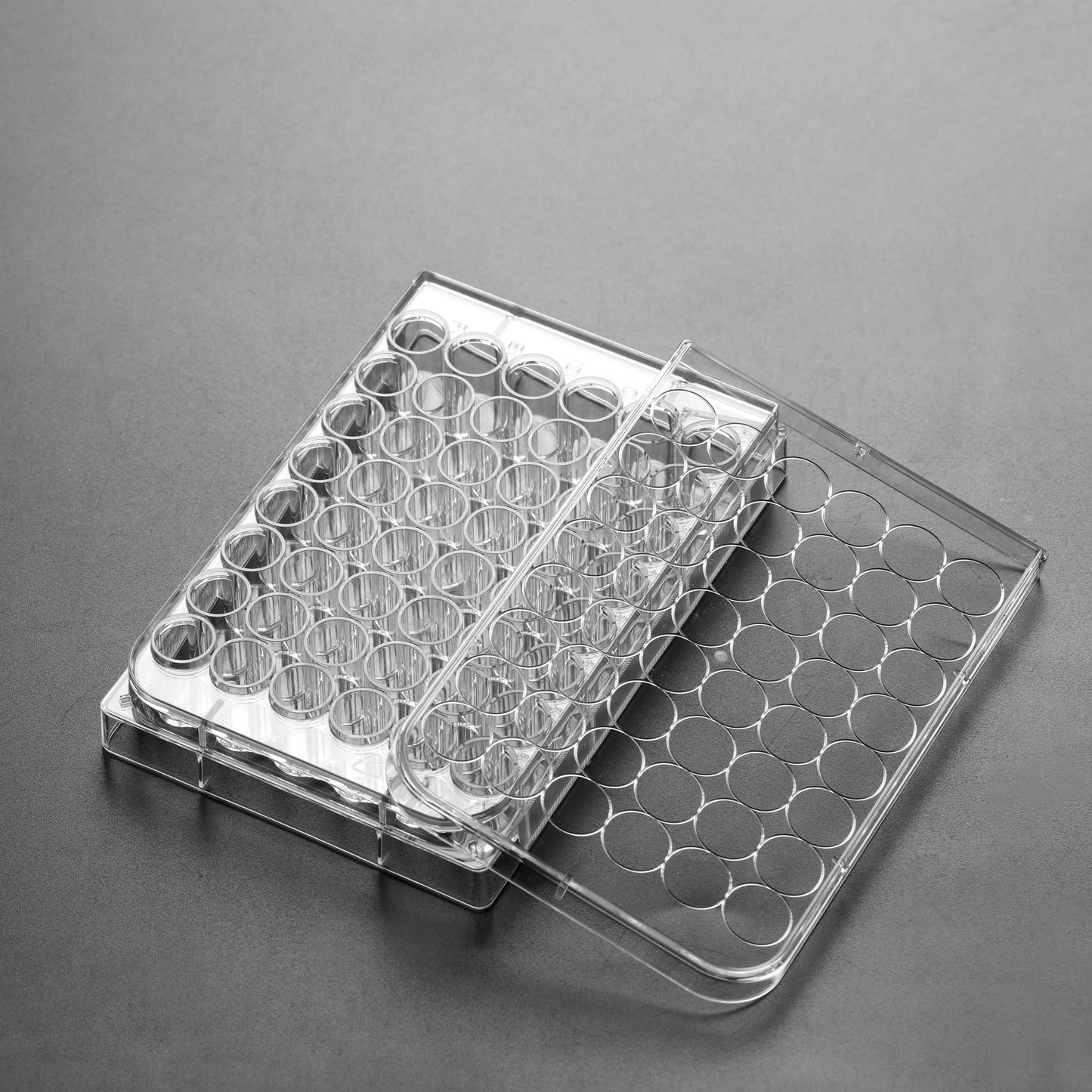 Sterile Non-Treated Zellkulturplatten mit F-Boden – Für Suspensionszellen innoME GmbH