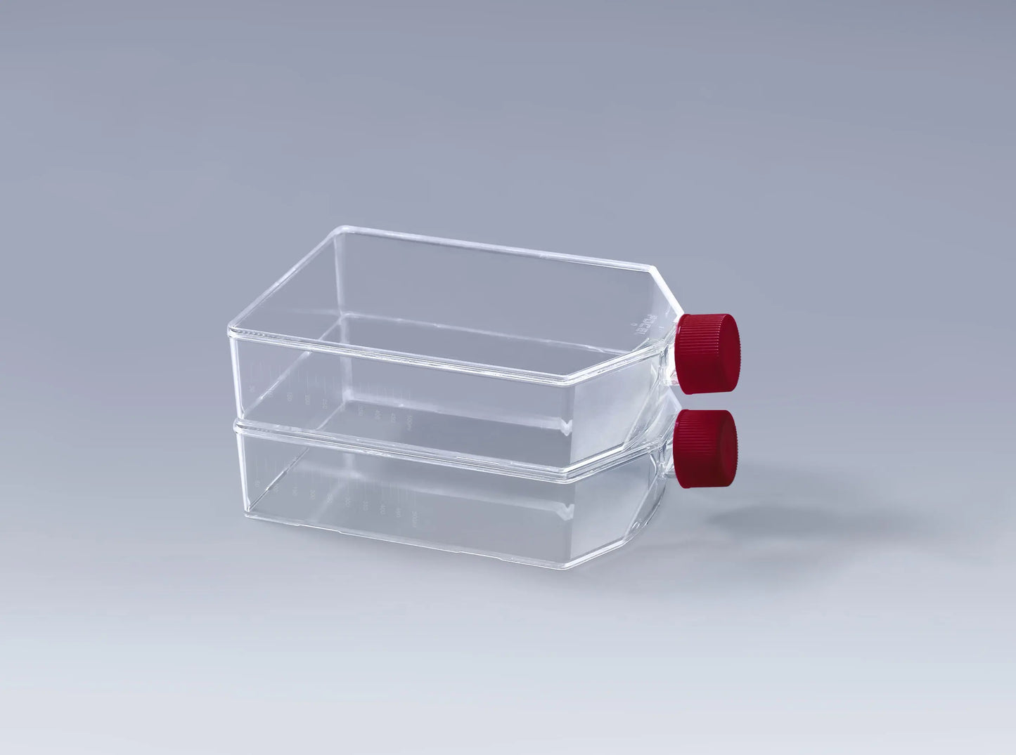 Nicht-TC-behandelte Zellkulturflaschen | Suspensionskultur T25-T225 | Steril Low-Attachment innoME GmbH