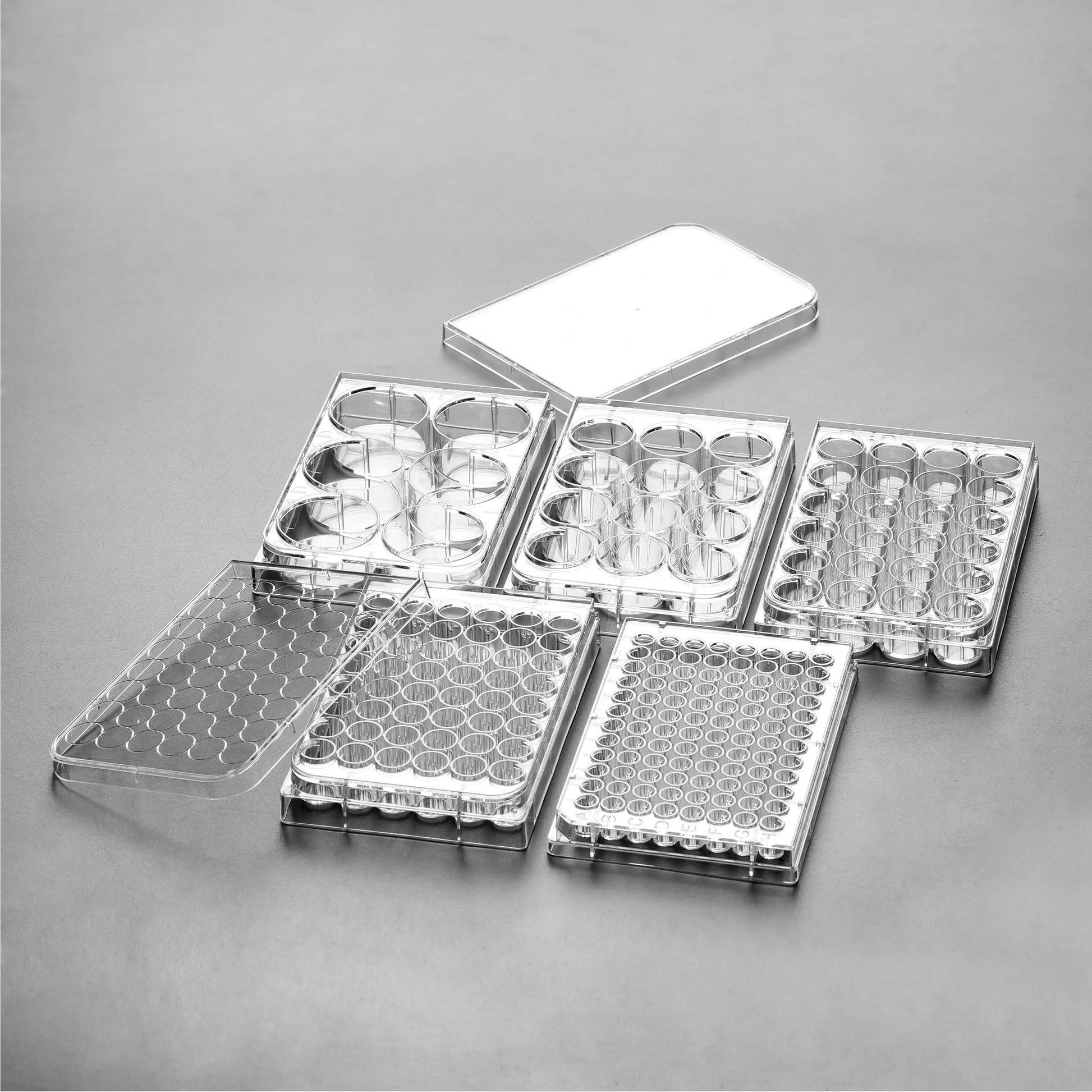 Scratch Maker Platten – Beschichtete Glasbodenplatten für präzise Migrationsassays innoME GmbH