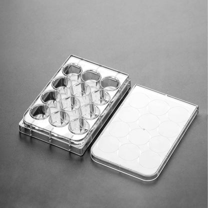 Scratch Maker Platten – Beschichtete Glasbodenplatten für präzise Migrationsassays innoME GmbH