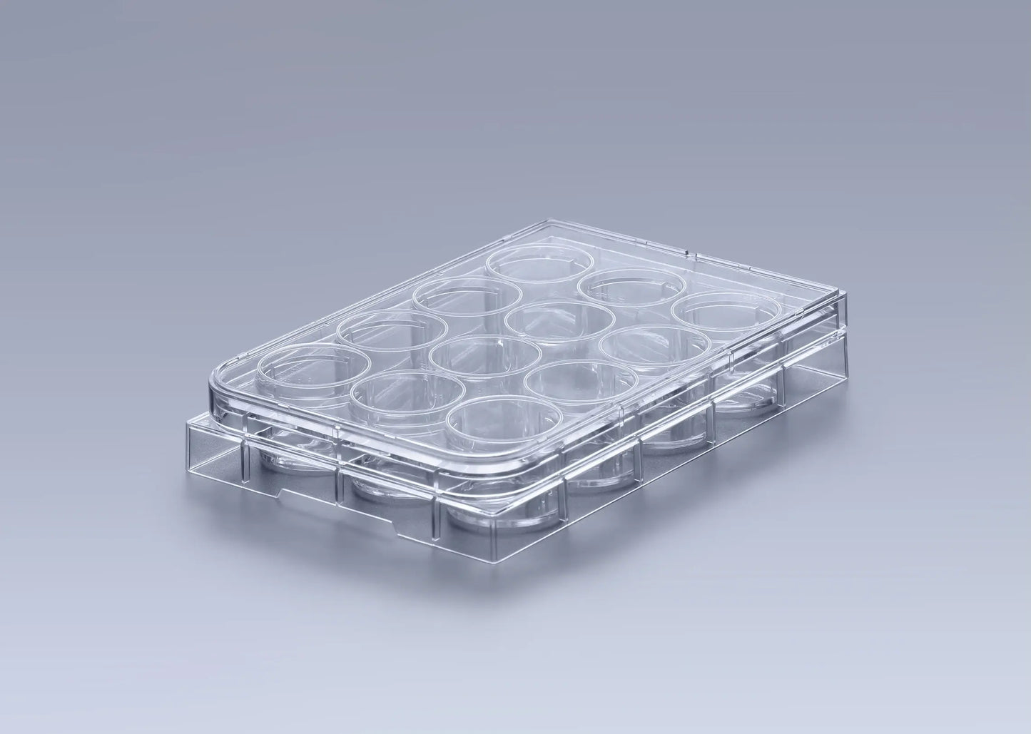 Ultra-Low Attachment Platten | 6, 12, 24, 48, 96 Well | 3D Zellkultur & Sphäroide innoME GmbH