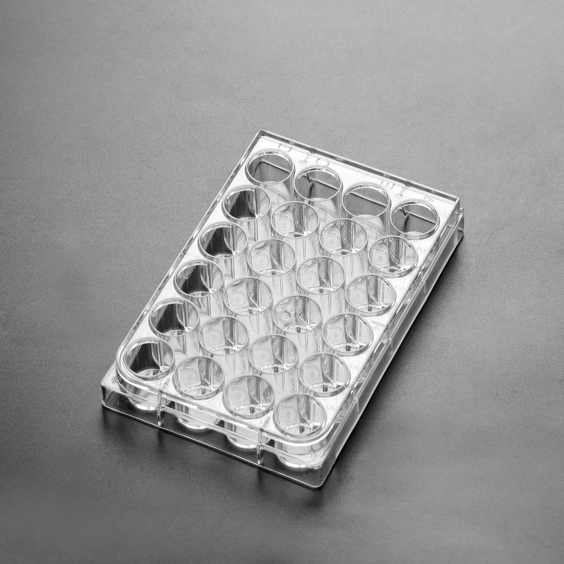 Scratch Maker Platten – Beschichtete Glasbodenplatten für präzise Migrationsassays innoME GmbH