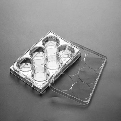 Scratch Maker Platten – Beschichtete Glasbodenplatten für präzise Migrationsassays innoME GmbH