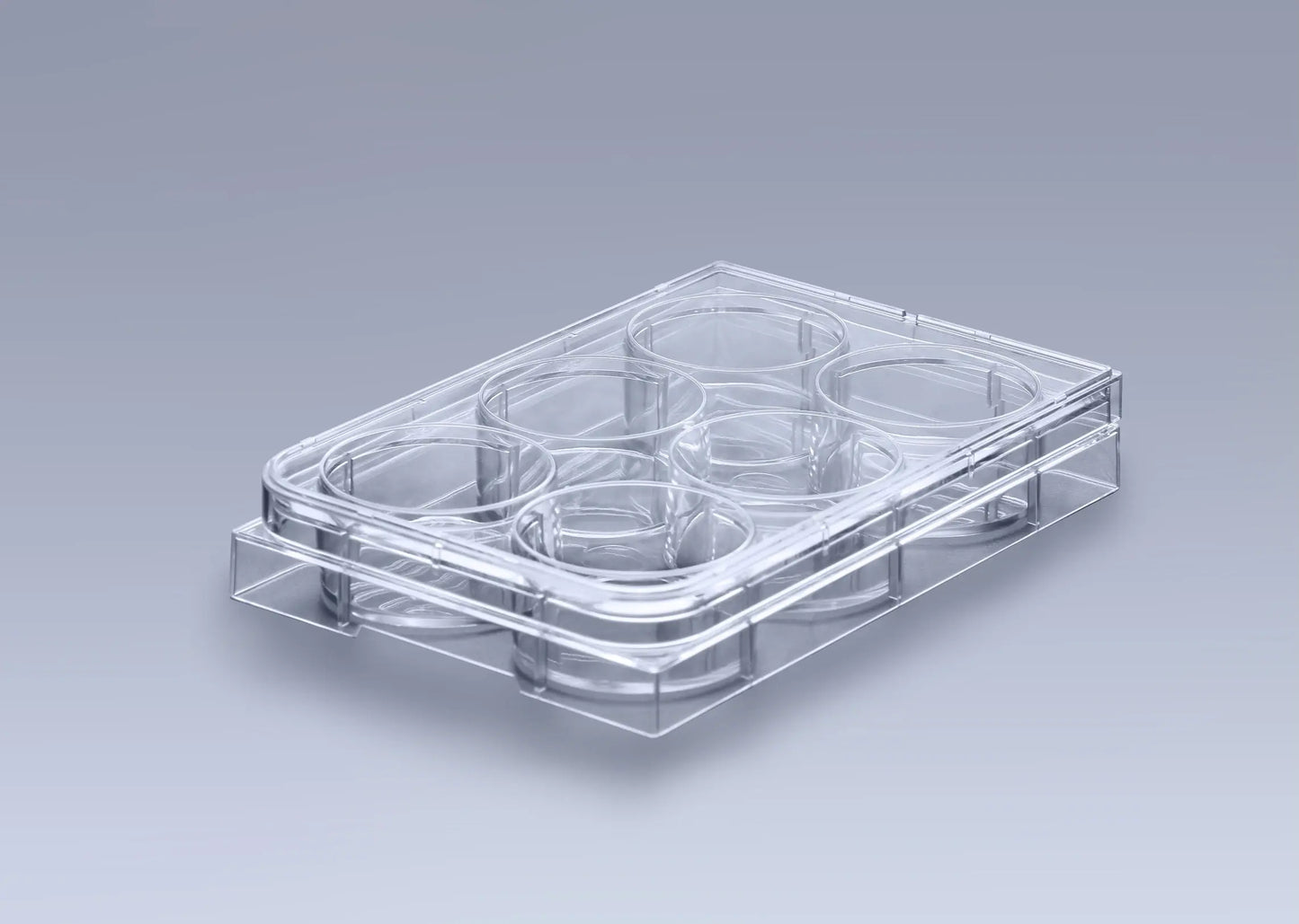 Ultra-Low Attachment Platten | 6, 12, 24, 48, 96 Well | 3D Zellkultur & Sphäroide innoME GmbH