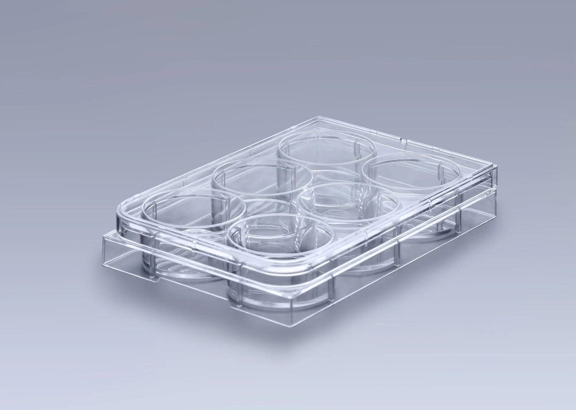 Ultra-Low Attachment Platten | 6, 12, 24, 48, 96 Well | 3D Zellkultur & Sphäroide innoME GmbH