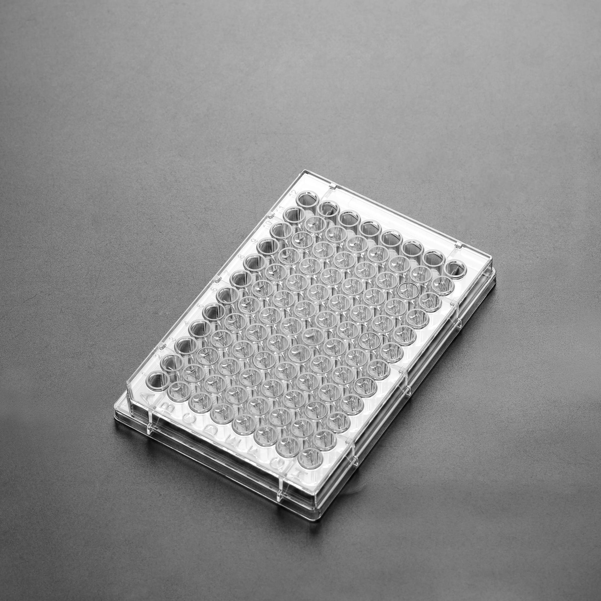 Scratch Maker Platten – Beschichtete Glasbodenplatten für präzise Migrationsassays innoME GmbH