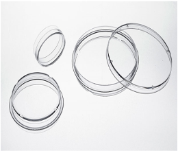 Glass Bottom Petri Dish 35mm | TC-Treated | 1.5 Deckglas | Konfokalmikroskopie