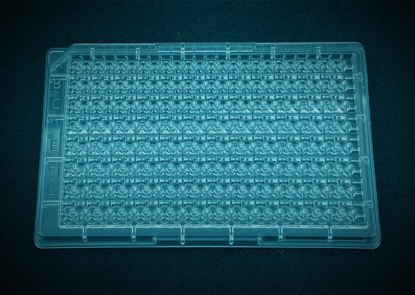 SpecPlate Low Binding UV/VIS 96-Well Spektroskopie-Platte | Protein DNA Quantifizierung