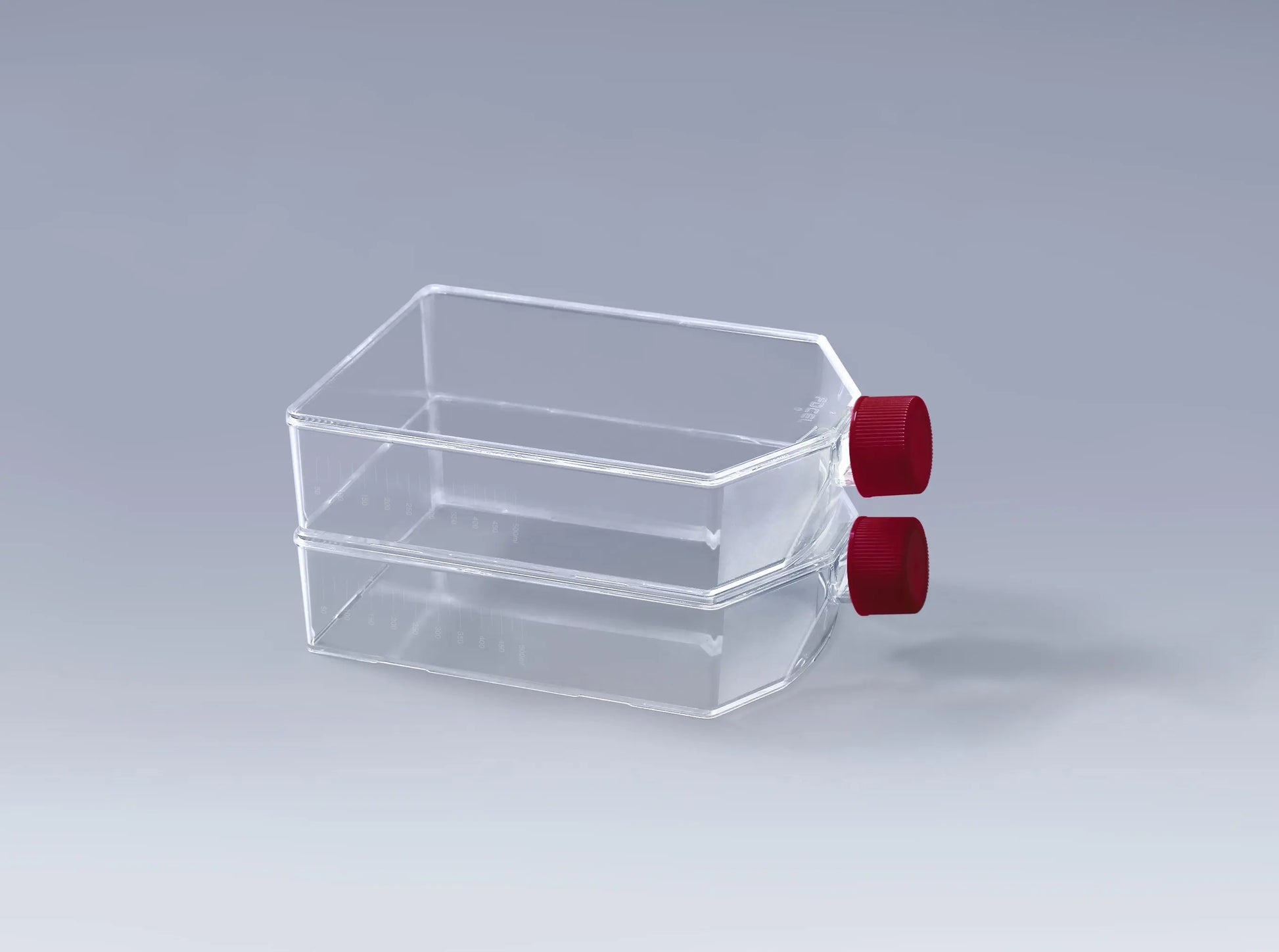 Nicht-TC-behandelte Zellkulturflaschen | Suspensionskultur T25-T225 | Steril Low-Attachment innoME GmbH